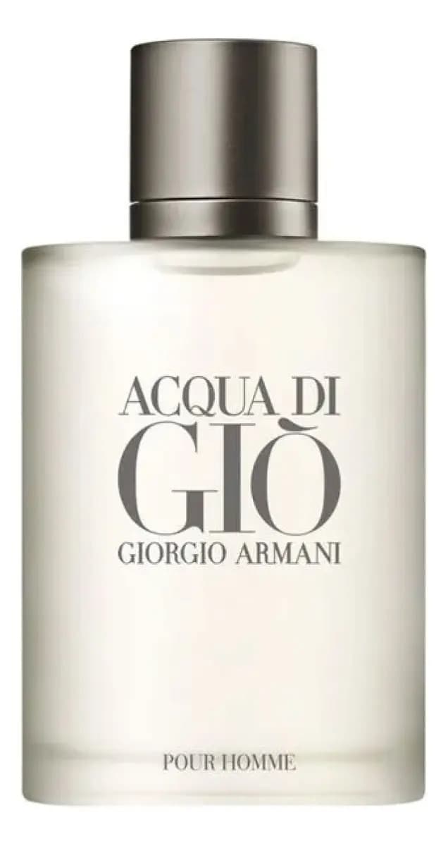 Perfume Armani Acqua Di Gio EDT 100ml — Armani